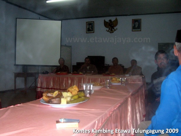 kontes-kambing-etawa-tulungagung-2009