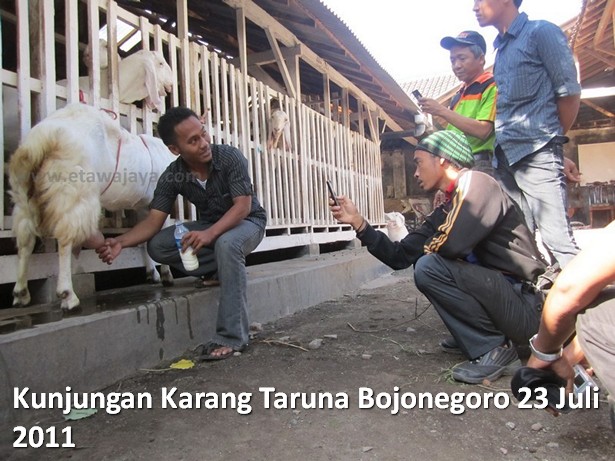 kunjungan-karang-taruna-bojonegoro-etawa-jaya