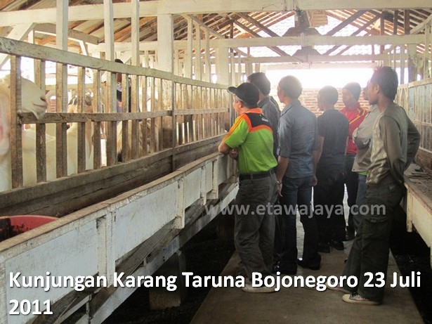 kunjungan-karang-taruna-bojonegoro-etawa-jaya